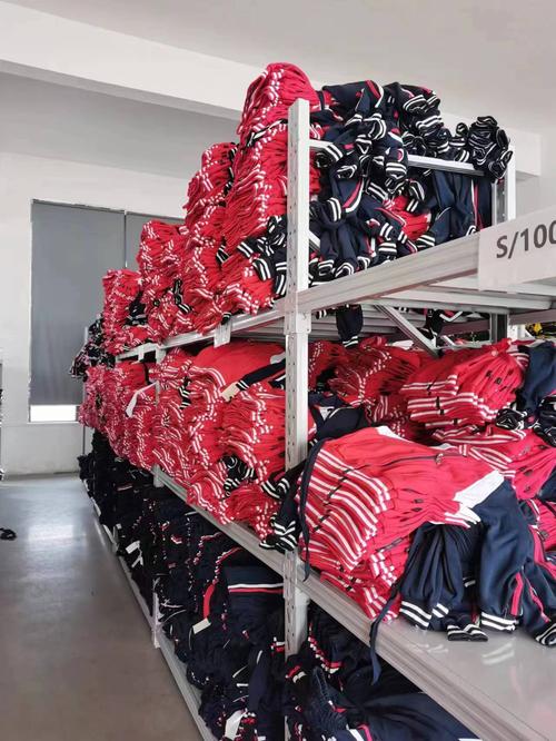 湖南省邻童纺织与若邻服饰 区域服装产业的双轮驱动与协同发展
